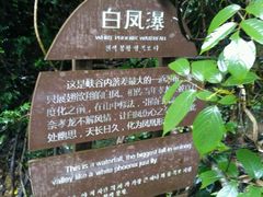 -大余丫山旅游度假区