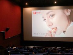 -武汉华夏国际影城(鲁广店)