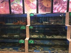 -皇朝海鲜酒店