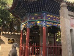 -关林