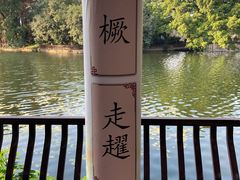 -荔湾湖公园