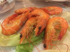 -詠春园