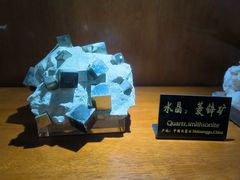 -青岛德国总督楼旧址博物馆