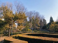 -黄村公园