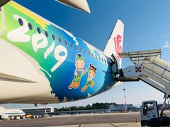 -米兰马尔彭萨国际机场