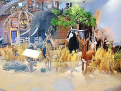 -卡通尼·Safari非洲探索乐园·生日会(金桥国际商业广场店)