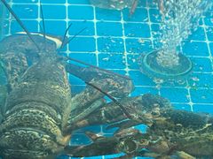 -码头鲜精致威海菜(欧乐坊店)