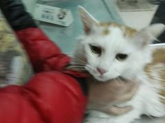 -康乐宝动物医院