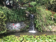 -十八棵（老龙井）御茶园(老龙井店)