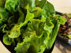 -HONGA HONGA雄家(曹路店)