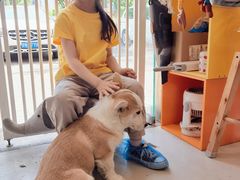 -平行世界·猫咖(首经贸店)