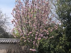 -花亭湖风景名胜区