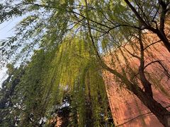 -同济大学(沪西校区)