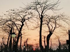 -芒洲湿地公园