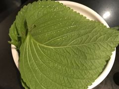 -本家·添百客韩国料理(泰然店)