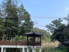 -火炉山森林公园