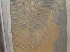 -宠爱国际动物医院·疑难骨科·心肾内科·皮肤科(太阳宫店)