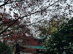 -岳麓山风景名胜区
