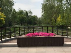 -武清南湖绿博园