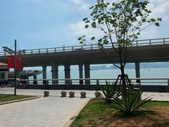 -演武大桥观景平台