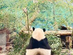 -杭州动物园
