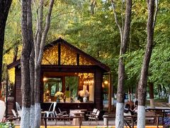 -长白岛森林公园