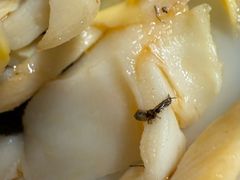 -王氏现捞(宽窄巷子2.0直营店)