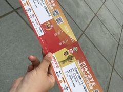 -南京奥林匹克体育中心-体育馆