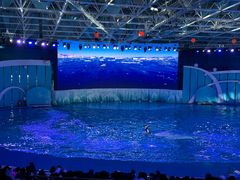 -海合安青岛极地海洋公园