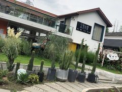 -云里小坐·小院里·团建·宴请·下午茶(三圣乡店)