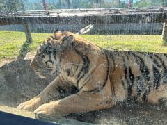 -西霞口神雕山野生动物世界