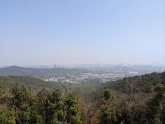 -旺山景区