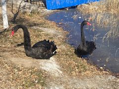 -天津东丽湖风景区
