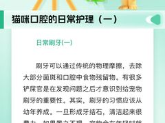 -瑞派申生动物医院·24H夜诊·国际动物医疗中心·骨外科(吴中路店)