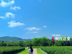 -亚龙湾国际玫瑰谷