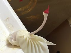 -BLACKSWAN黑天鹅(环球店)