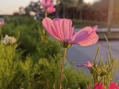 -东疆建设开发纪念公园