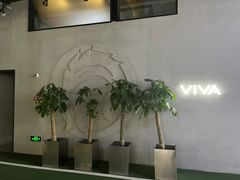 -GYMCARE VIVA(金开店)