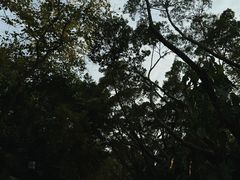-南宁南湖公园