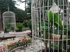 -国色天乡三期陆地乐园
