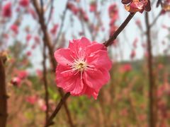 -白水带风景区体育公园