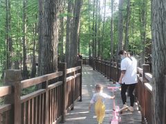 -东湖落雁景区