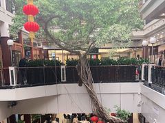 -广州酒家(文昌总店)