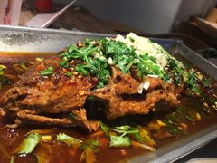 香辣炝锅鱼-树厨贵州菜(大十字店)