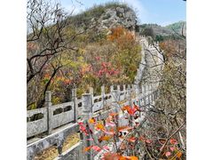 -淇河国家湿地公园