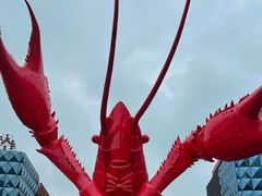 -虾皇(龙虾城旗舰店)