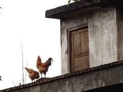-尧坝古镇