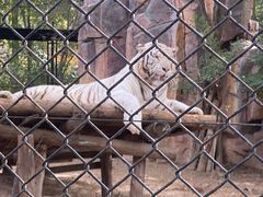 -北京野生动物园