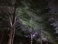 -文华公园(禅城区)