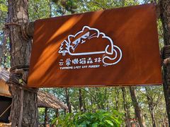 -沂蒙山旅游区云蒙景区(蒙山国家森林公园)
